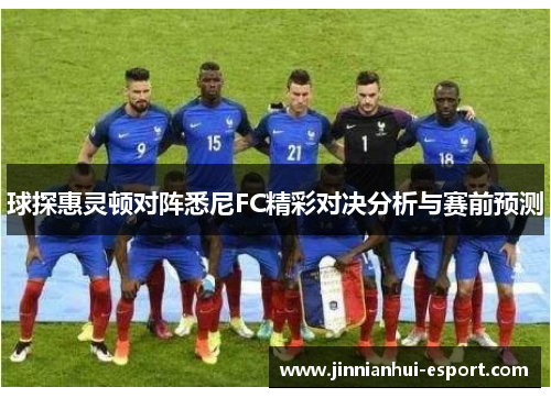 球探惠灵顿对阵悉尼FC精彩对决分析与赛前预测